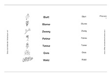 Pflanzen1-4.pdf